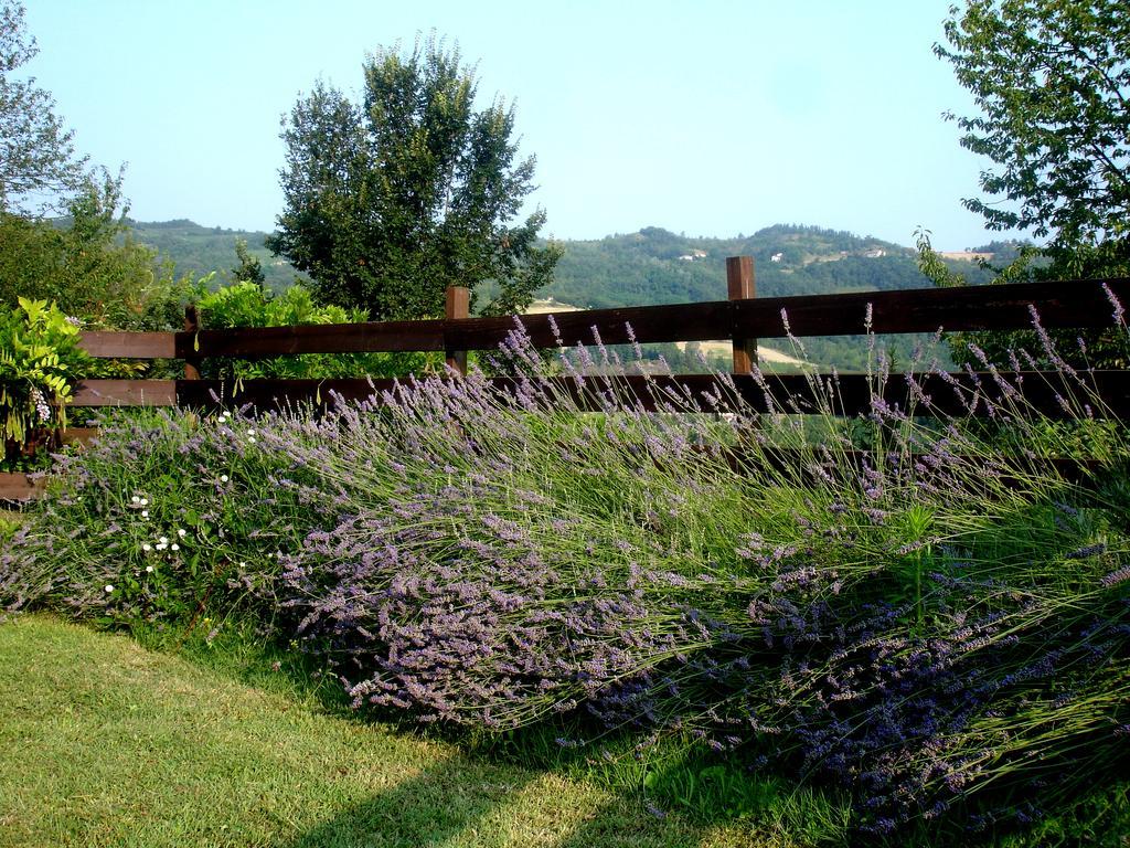 Cascina Ciosse B&B Grognardo Zimmer foto