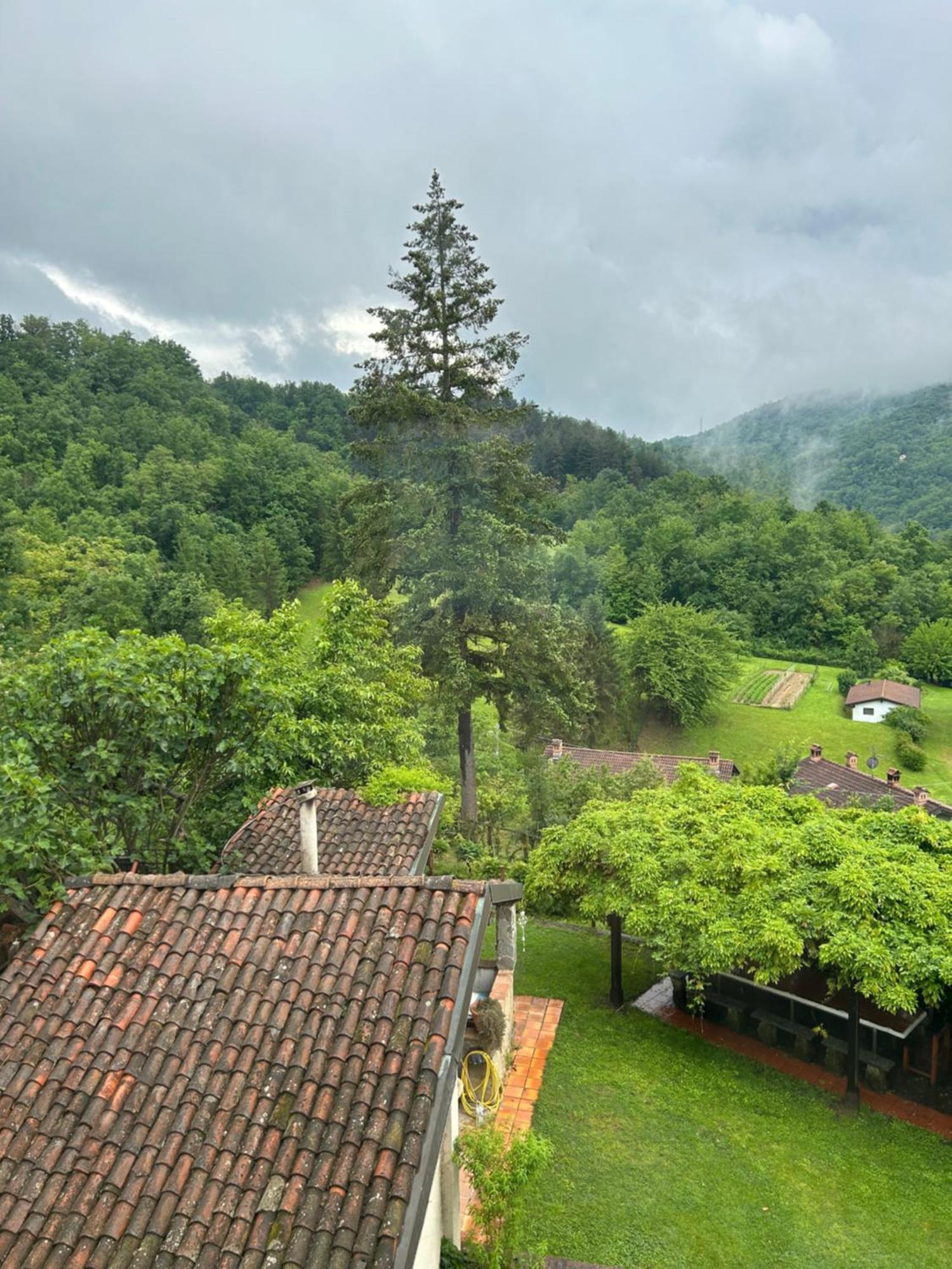 Cascina Ciosse B&B Grognardo Exterior foto
